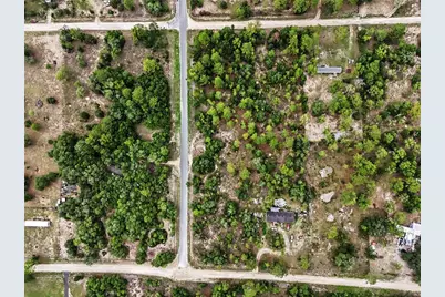 Tbd SE 218th Avenue, Morriston, FL 32668 - Photo 6