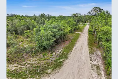 Tbd SE 218th Avenue, Morriston, FL 32668 - Photo 18