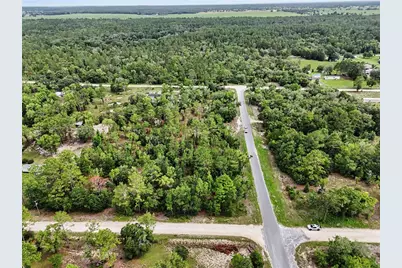 Tbd SE 218th Avenue, Morriston, FL 32668 - Photo 12