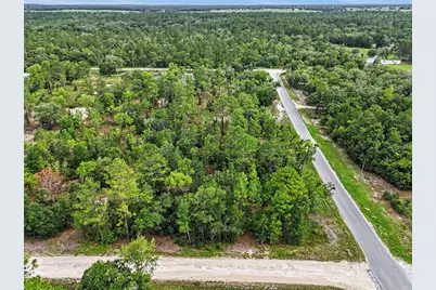 Tbd SE 218th Avenue, Morriston, FL 32668 - Photo 4