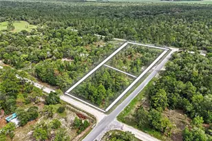 Tbd SE 218th Ave, Morriston, FL 32668 - Photo 1
