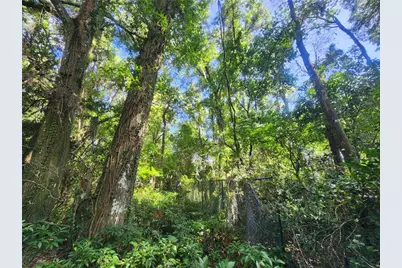 1985 NE 97th Streed Road, Anthony, FL 32617 - Photo 40