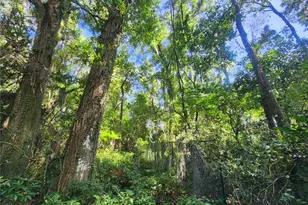 1985 NE 97th Streed Rd, Anthony, FL 32617 - Photo 40