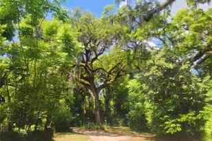 1985 NE 97th Streed Rd, Anthony, FL 32617 - Photo 8