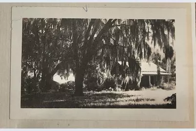 1985 NE 97th Streed Road, Anthony, FL 32617 - Photo 42