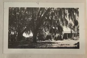 1985 NE 97th Streed Rd, Anthony, FL 32617 - Photo 42