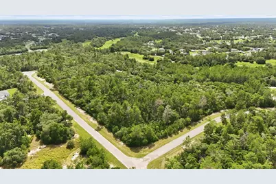 Parcel #8005-0854-46 (2.89 Acres), Ocala, FL 34473 - Photo 6