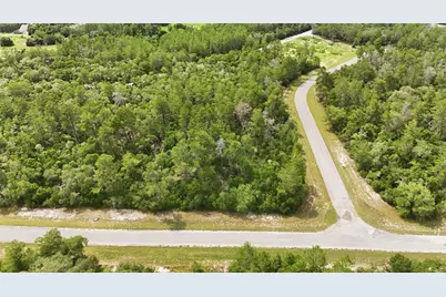 Parcel #8005-0854-46 (2.89 Acres), Ocala, FL 34473 - Photo 4