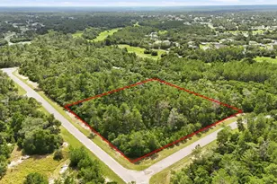 Parcel #8005-0854-46 (2 89 Acres), Ocala, FL 34473 - Photo 1