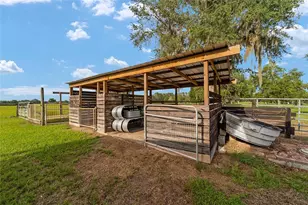 2035 NW 150th Ave, Ocala, FL 34482 - Photo 76