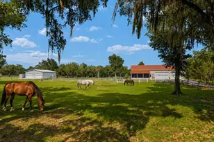 2035 NW 150th Ave, Ocala, FL 34482 - Photo 1