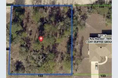 0 Ruffed Grouse Road, Weeki Wachee, FL 34614 - Photo 4