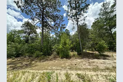 Tbd NE 69th Place, Bronson, FL 32621 - Photo 6