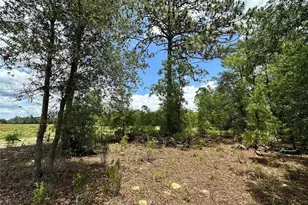 Tbd NE 69th Pl, Bronson, FL 32621 - Photo 1