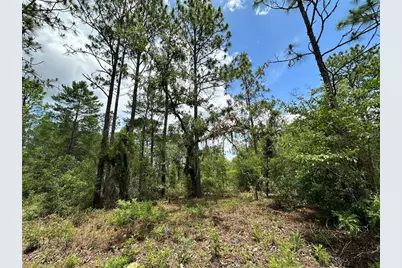 Tbd NE 69th Place, Bronson, FL 32621 - Photo 4