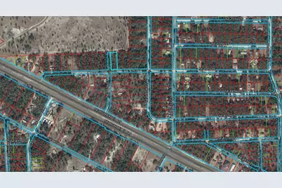 Tbd NE 69th Place, Bronson, FL 32621 - Photo 2