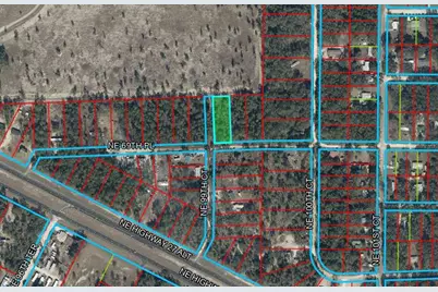 Tbd NE 69th Place, Bronson, FL 32621 - Photo 2