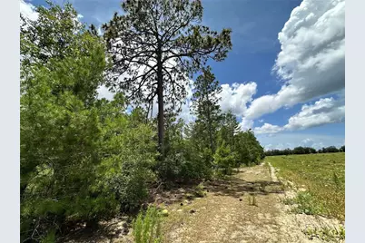 Tbd NE 69th Place, Bronson, FL 32621 - Photo 8