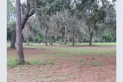 5995 SE 183rd Avenue Road, Ocklawaha, FL 32179 - Photo 24