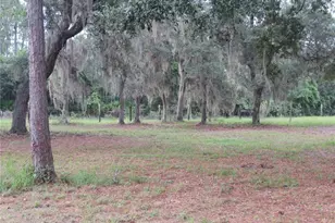 5995 SE 183rd Avenue Rd, Ocklawaha, FL 32179 - Photo 24