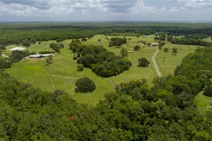9504 NW Hwy 320, Micanopy, FL 32667 - Photo 34