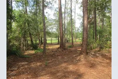 0 SE 10th Street, Silver Springs, FL 34488 - Photo 16