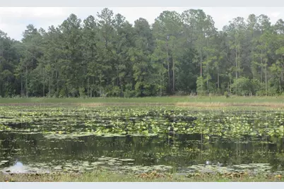 0 SE 10th Street, Silver Springs, FL 34488 - Photo 12