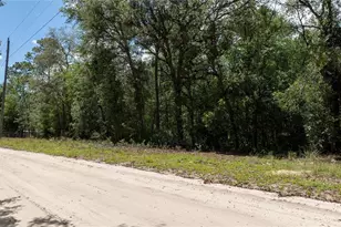 NE 71st St, Bronson, FL 32621 - Photo 1