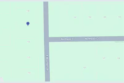 137 E Boundary Drive, Georgetown, FL 32139 - Photo 4