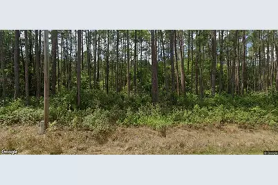 137 E Boundary Drive, Georgetown, FL 32139 - Photo 1