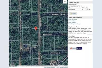 137 E Boundary Drive, Georgetown, FL 32139 - Photo 2