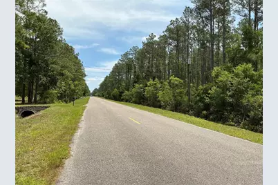 4365 Vicki Street, Hastings, FL 32145 - Photo 6