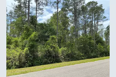 4365 Vicki Street, Hastings, FL 32145 - Photo 4