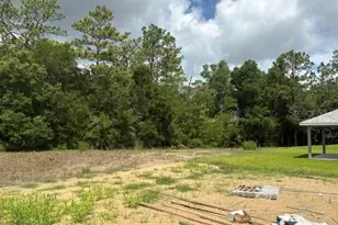 7744 SW 180th Cir, Dunnellon, FL 34432 - Photo 8