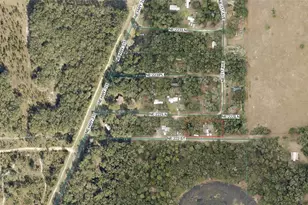 11710 NE 222nd Ln, Fort Mc Coy, FL 32134 - Photo 20