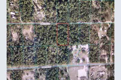 0 SW 153 Lane, Dunnellon, FL 34432 - Photo 4