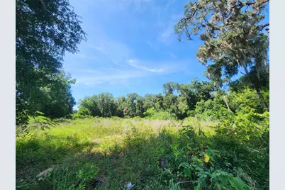 Tbd 97th Street Road, Anthony, FL 32617 - Photo 4