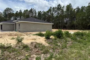 6000 SW 206th Ave, Dunnellon, FL 34431 - Photo 2
