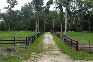 16945 NW 128th Terrace, Reddick, FL 32686 - Photo 14