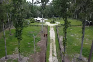 16945 NW 128th Terrace, Reddick, FL 32686 - Photo 2