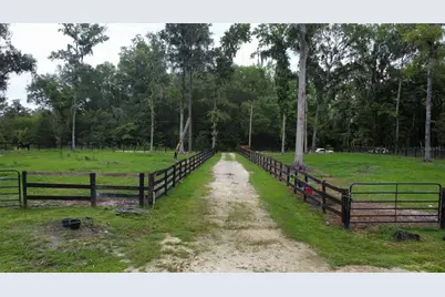 16945 NW 128th Terrace, Reddick, FL 32686 - Photo 8