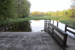 2562 SE 178th Ave, Silver Springs, FL 34488 - Photo 64