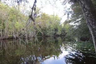 2562 SE 178th Ave, Silver Springs, FL 34488 - Photo 70