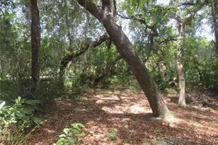 2562 SE 178th Ave, Silver Springs, FL 34488 - Photo 22