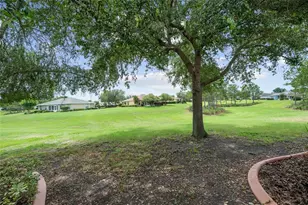 9274 SW 94th Loop, Ocala, FL 34481 - Photo 10