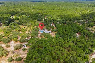 6175 S Canna Lily Ave, Homosassa, FL 34446 - Photo 38