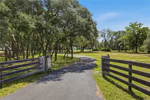 6175 S Canna Lily Ave, Homosassa, FL 34446 - Photo 4