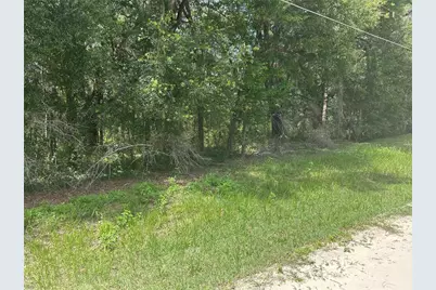Sw 111 Lane, Dunnellon, FL 34432 - Photo 4