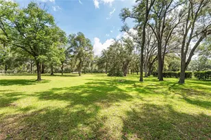 10871 SE County Rd 326, Morriston, FL 32668 - Photo 8