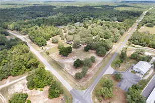 10871 SE Co Rd 336, Morriston, FL 32668 - Photo 8